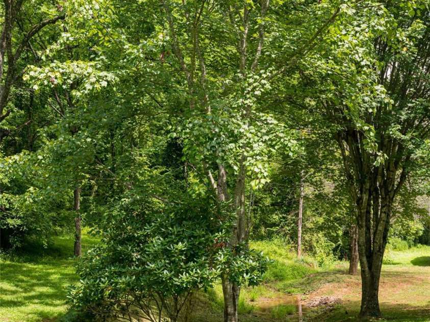 25 Elkins Branch Road, Weaverville, NC 28787.  MLS# CAR4278716, YatesRealty ID 26063. 