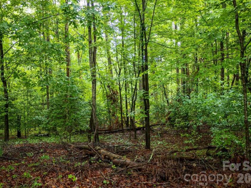 1225 Moss Road, Rutherfordton, NC 28139.  MLS# CAR4386364, YatesRealty ID 26093. 