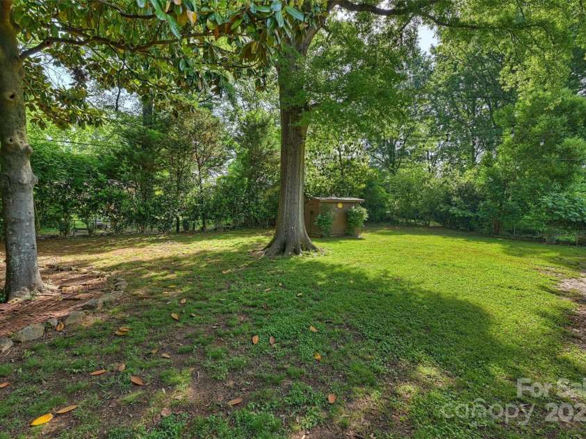1522 Barberry Court, Charlotte, NC 28211.  MLS# CAR4258498, YatesRealty ID 2611. Backyard