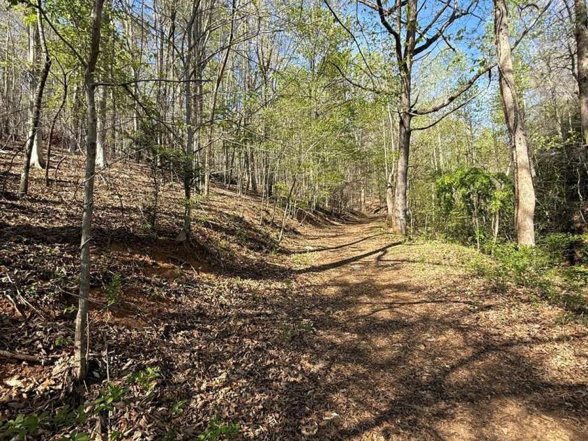 880 Main Street, Marion, NC 28752.  MLS# CAR4372624, YatesRealty ID 26125. 