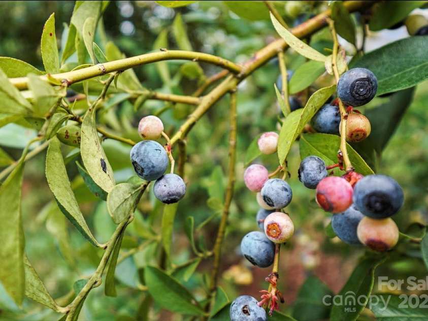 10055 Highway 601 Highway, Midland, NC 28107.  MLS# CAR4279690, YatesRealty ID 26194. 