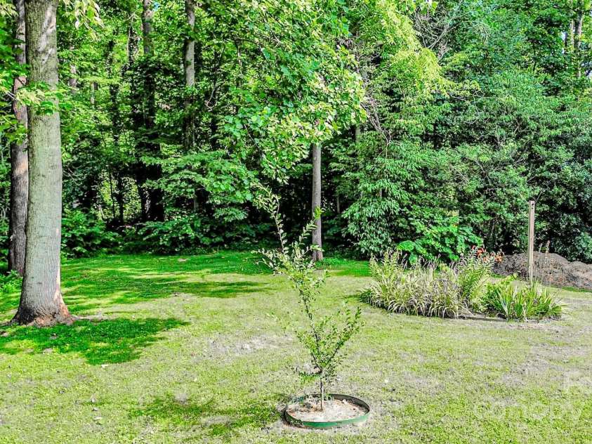 548 Washington Street, Rutherfordton, NC 28139.  MLS# CAR4277665, YatesRealty ID 26230. SIDE YARD