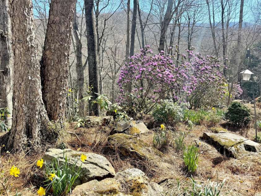 78 Aster Lane, Waynesville, NC 28786.  MLS# CAR4240828, YatesRealty ID 2630. Surrounded by Lush Landscaping