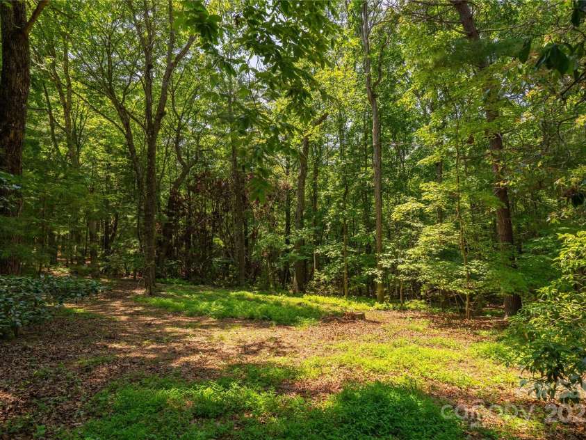 2 Oak Grove Road, Arden, NC 28704.  MLS# CAR4262932, YatesRealty ID 26361. Big Beautiful Lot