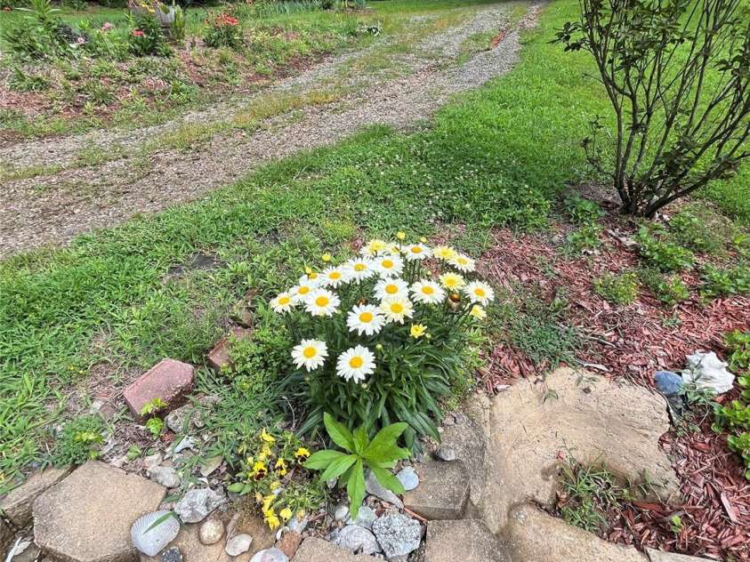 184 Winding Arbor Circle, Cleveland, NC 27013.  MLS# CAR4271297, YatesRealty ID 26364. Front yard