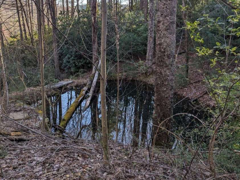 1605 Golden Road, Lake Toxaway, NC 28747.  MLS# CAR4179199, YatesRealty ID 264. 