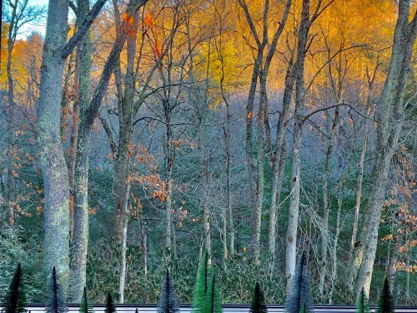 198 Little Harbour None, Vilas, NC 28692.  MLS# CAR4304013, YatesRealty ID 2643. Fall/winter view