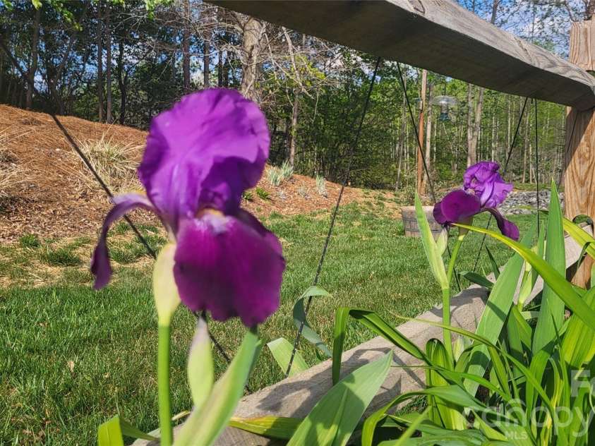 3938 Village Boulevard, Conover, NC 28613.  MLS# CAR4354724, YatesRealty ID 26473. 