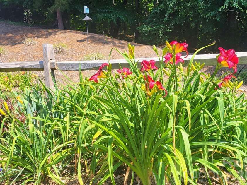 3938 Village Boulevard, Conover, NC 28613.  MLS# CAR4354724, YatesRealty ID 26473. 