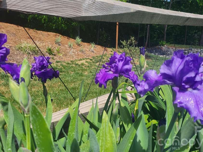 3938 Village Boulevard, Conover, NC 28613.  MLS# CAR4410471, YatesRealty ID 26473. 