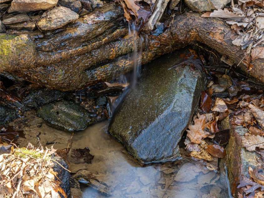 28 Woodland Aster Way, Asheville, NC 28804.  MLS# CAR4212425, YatesRealty ID 26479. Babbling brook runs year round, but did not flood