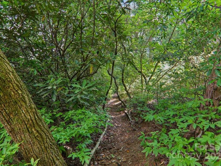 219 Hiwassee Road, Lake Toxaway, NC 28747.  MLS# CAR4264723, YatesRealty ID 26555. 