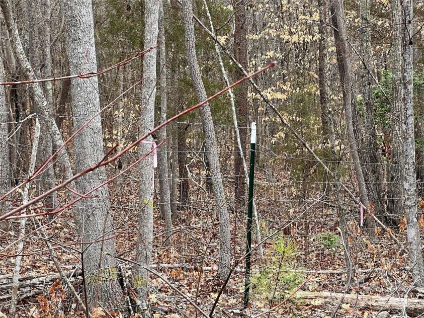 1217 Freeman Road, Bostic, NC 28018.  MLS# CAR4234319, YatesRealty ID 2658. 