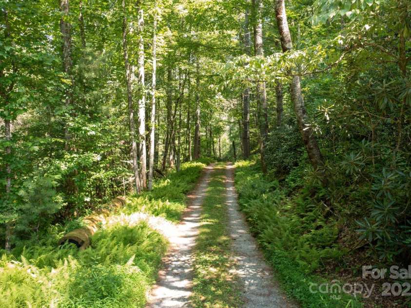 35 Pope Road, Brevard, NC 28712.  MLS# CAR4261354, YatesRealty ID 26591. Entrance Road