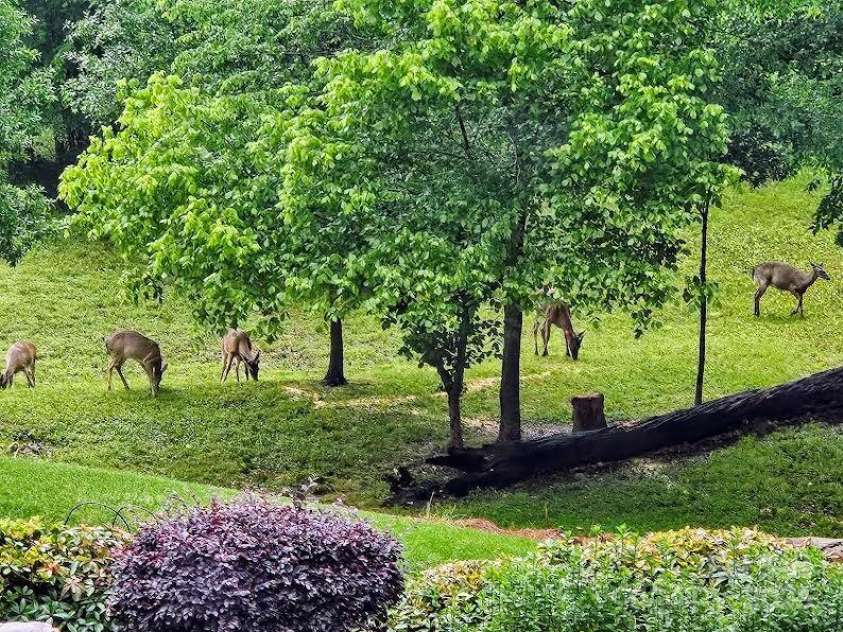 5706 Carter Woods Court, Waxhaw, NC 28173.  MLS# CAR4278861, YatesRealty ID 26634. 