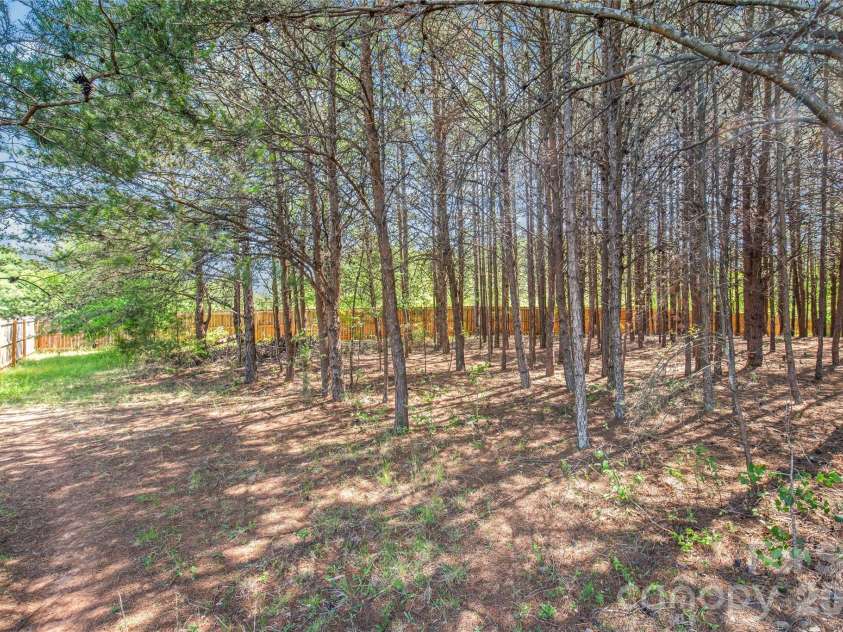 116 Damon Drive, Shelby, NC 28150.  MLS# CAR4375356, YatesRealty ID 26639. Wooded portion of backyard