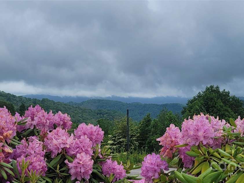 81 Scenic Wolf Drive, Mars Hill, NC 28754.  MLS# CAR4266287, YatesRealty ID 26649. Spring colors!