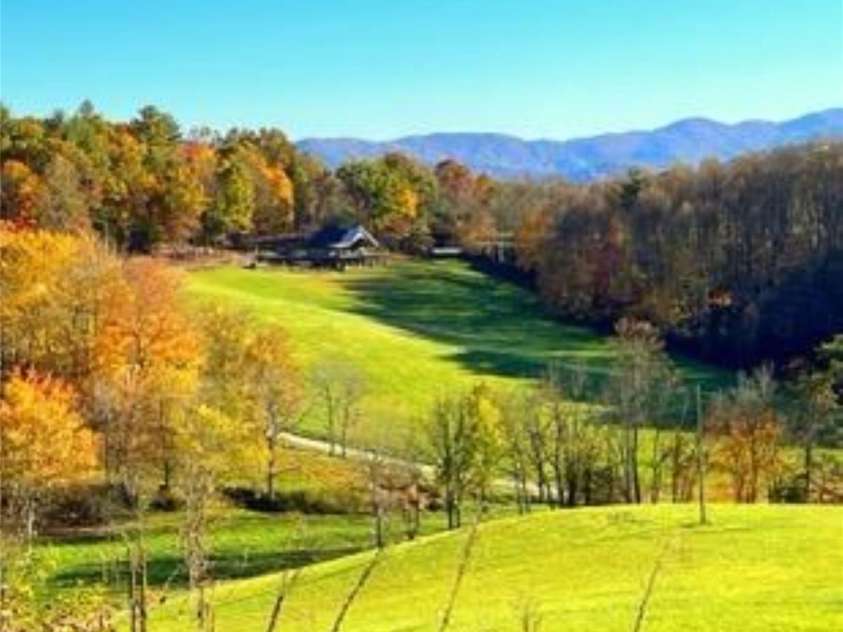 461 Ferguson Cove Loop, Clyde, NC 28721.  MLS# CAR4354575, YatesRealty ID 26678. 