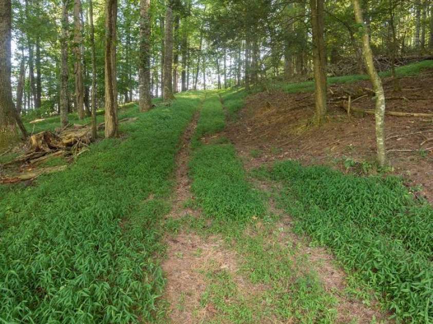 741 & 99999 Morrow Branch Road, Leicester, NC 28748.  MLS# CAR4383533, YatesRealty ID 26790. 