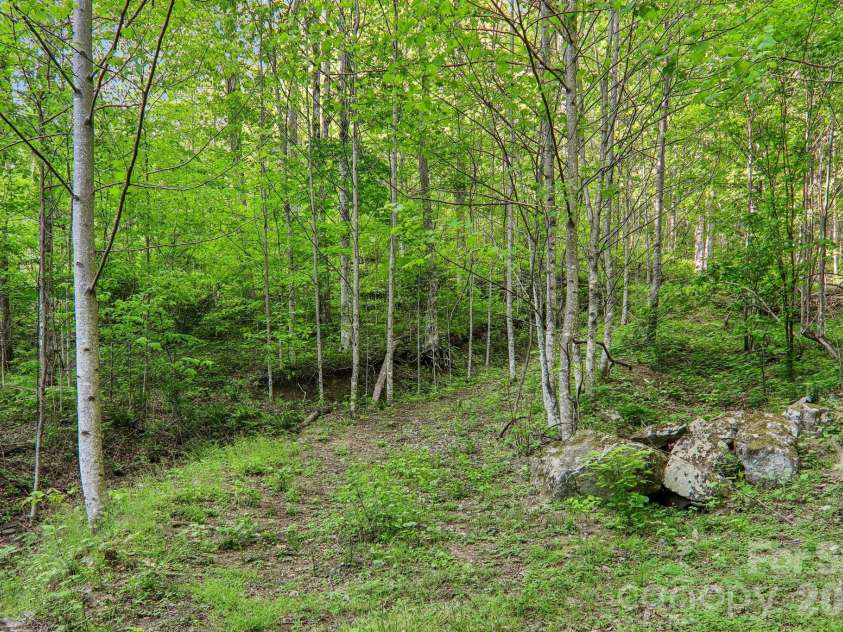 47 Lo Cove, Maggie Valley, NC 28751.  MLS# CAR4374472, YatesRealty ID 26808. 
