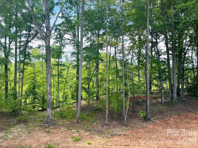 165 Beth Haven Church Road, Denver, NC 28037.  MLS# CAR4384085, YatesRealty ID 26826. View from your owner's suite!