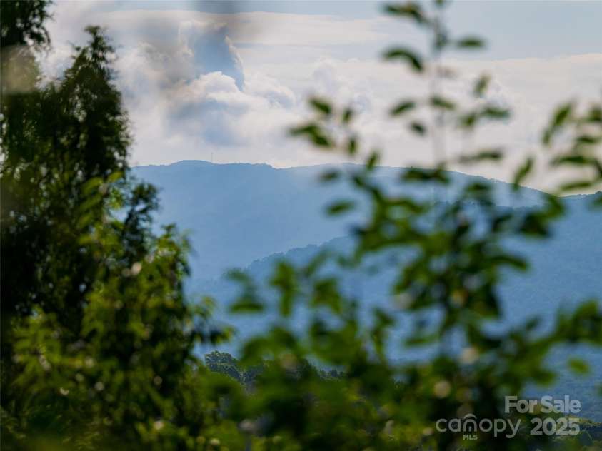 3 Delano Road, Asheville, NC 28805.  MLS# CAR4282055, YatesRealty ID 26866. 