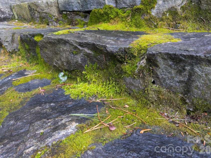 15 Chestnut Street, Tryon, NC 28782.  MLS# CAR4336651, YatesRealty ID 2688. 