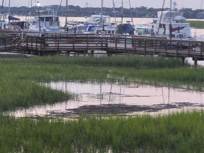 15 BayBreeze Lane, Beaufort, SC 29907.  MLS# CAR4193155, YatesRealty ID 2694. 