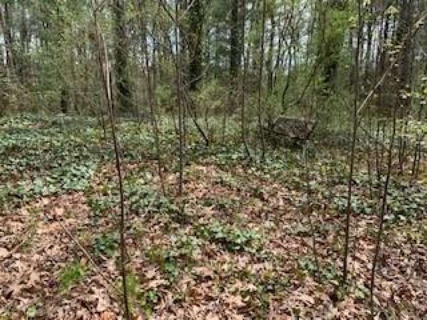 67 Small Creek Lane, Hendersonville, NC 28792.  MLS# CAR3876933, YatesRealty ID 27. 