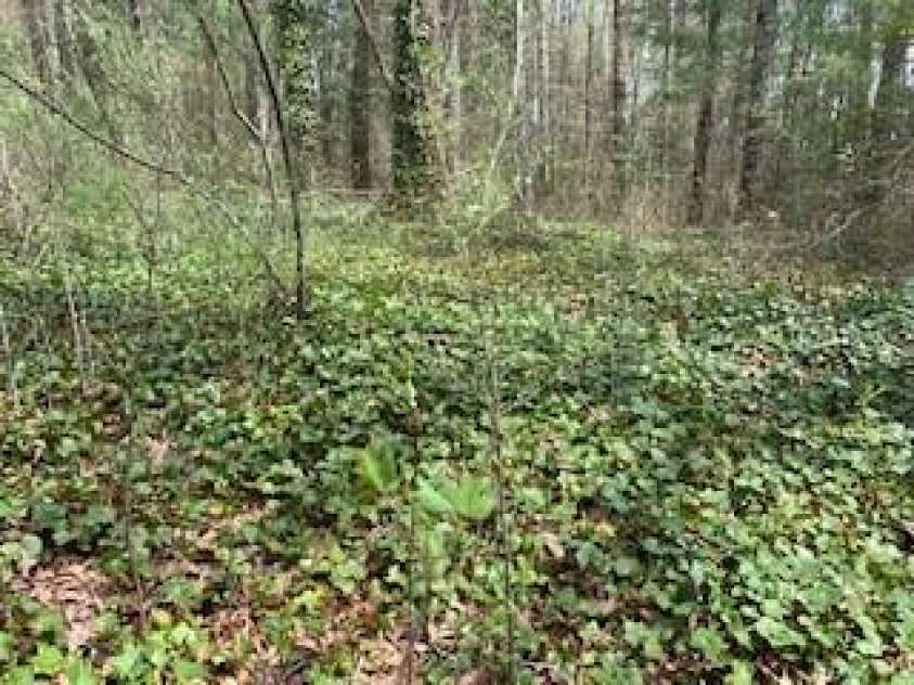 67 Small Creek Lane, Hendersonville, NC 28792.  MLS# CAR3876933, YatesRealty ID 27. 