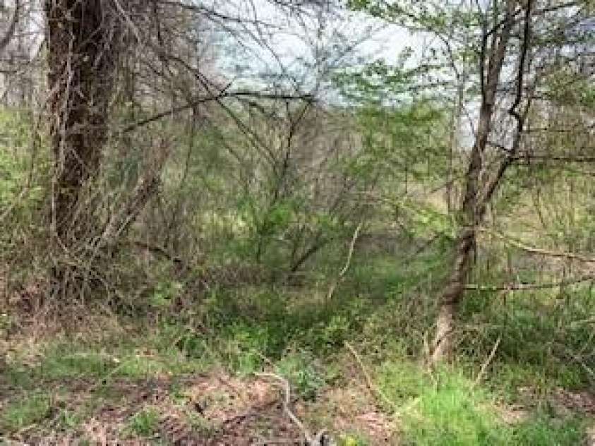 67 Small Creek Lane, Hendersonville, NC 28792.  MLS# CAR3876933, YatesRealty ID 27. 