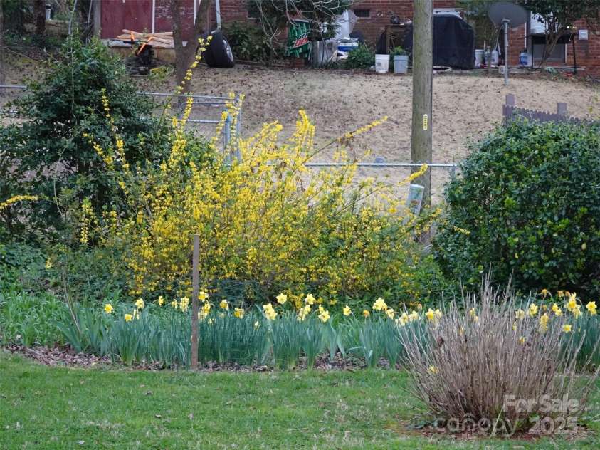 5806 Whitingham Drive, Charlotte, NC 28215.  MLS# CAR4263834, YatesRealty ID 27000. Backyard blooms in spring