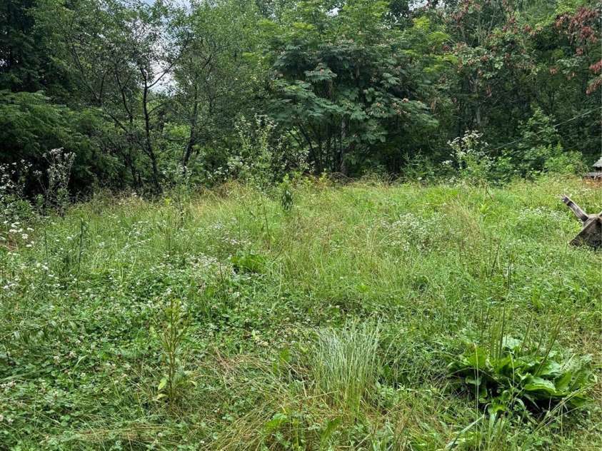 321 Henry Worley Lane, Marshall, NC 28753.  MLS# CAR4277589, YatesRealty ID 27001. 