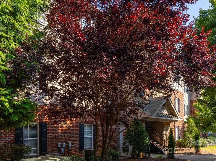 332 Appeldoorn Circle, Asheville, NC 28803.  MLS# CAR4279509, YatesRealty ID 27033. 