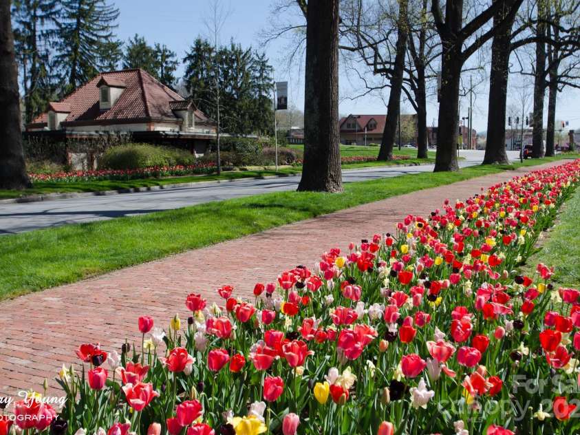 35 Douglas Place, Asheville, NC 28803.  MLS# CAR4238557, YatesRealty ID 27097. Biltmore Village