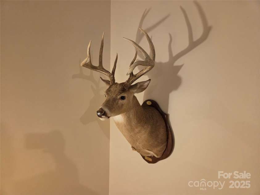 7116 Spruce Pine Trail, Waxhaw, NC 28173.  MLS# CAR4283205, YatesRealty ID 27114. 