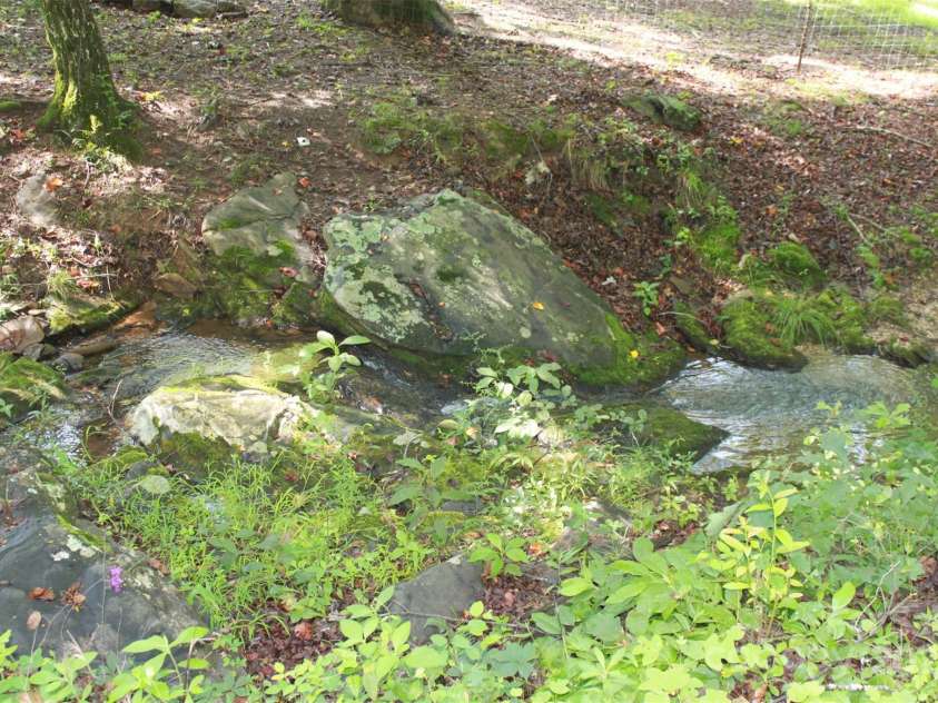 4947 US 221S Highway, Forest City, NC 28043.  MLS# CAR4281176, YatesRealty ID 27143. 