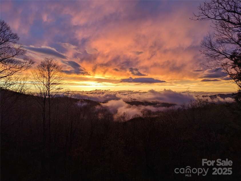 201 Cedar Mountain Road, Asheville, NC 28803.  MLS# CAR4281468, YatesRealty ID 27145. Owner's photo of the heavens
