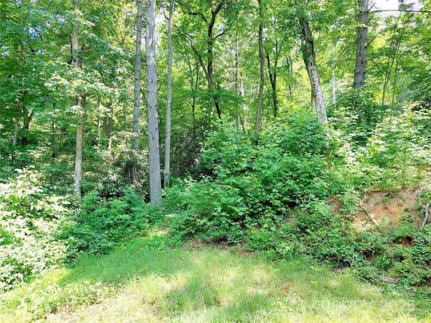 93 Badger Run, Hendersonville, NC 28739.  MLS# CAR4273888, YatesRealty ID 27146. 