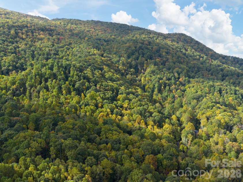 102 Carriage Drive, Fairview, NC 28730.  MLS# CAR4379033, YatesRealty ID 27149. Mountain Foliage Dream!