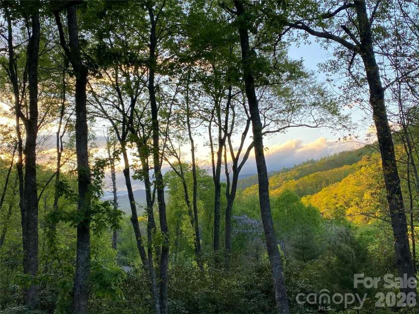 102 Carriage Drive, Fairview, NC 28730.  MLS# CAR4379033, YatesRealty ID 27149. Summer Sunset Light