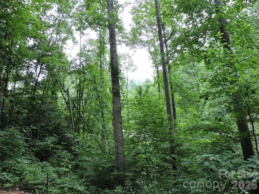 963 Melton Branch Road, Bakersville, NC 28705.  MLS# CAR4388856, YatesRealty ID 27236. 