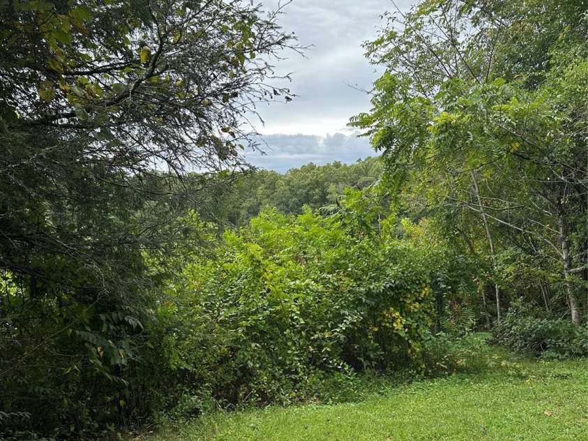 112 and 154 Merri Drive, Hendersonville, NC 28792.  MLS# CAR4184077, YatesRealty ID 2724. 