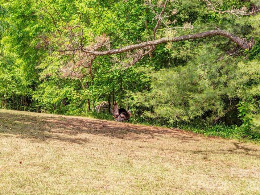 136 Graveyard Road, Fairview, NC 28730.  MLS# CAR4387672, YatesRealty ID 27249. 