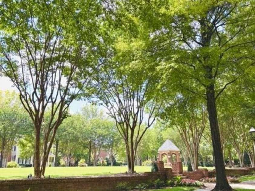 3011 Ella Katherine Way, Charlotte, NC 28210.  MLS# CAR4275220, YatesRealty ID 27261. 