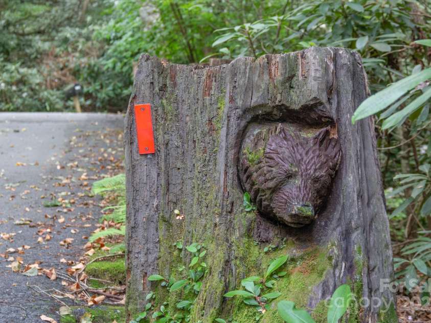 181 Hiwassee Road, Lake Toxaway, NC 28747.  MLS# CAR4280357, YatesRealty ID 27262. 