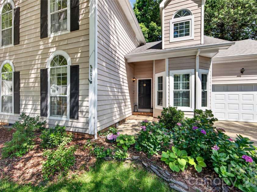 803 Water Wheel Court, Charlotte, NC 28209.  MLS# CAR4384715, YatesRealty ID 27337. Professional Landscaping includes some perrineals l;ike these Hydrangeas plus more