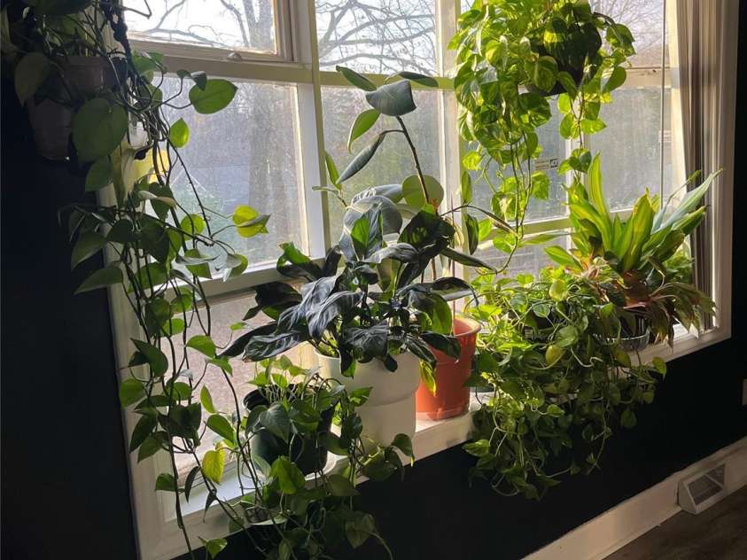 1615 Grovewood Drive, Charlotte, NC 28208.  MLS# CAR4251698, YatesRealty ID 27391. Bay WindowMain