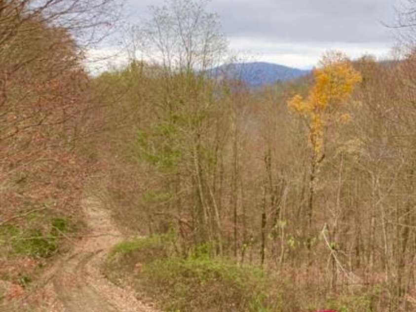 361 Boundary Trail, Maggie Valley, NC 28751.  MLS# CAR4307460, YatesRealty ID 274. 