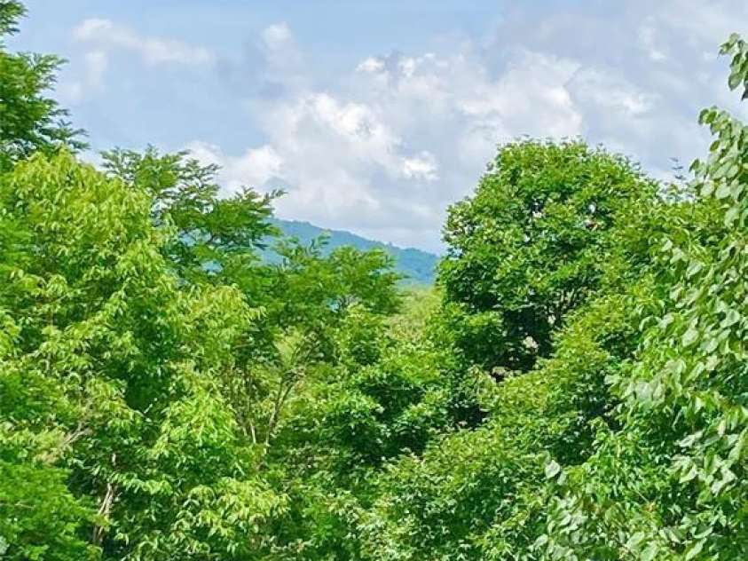 361 Boundary Trail, Maggie Valley, NC 28751.  MLS# CAR4307460, YatesRealty ID 274. 